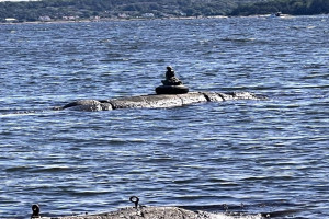 Bilde av Havnebakken